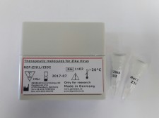 Genekam-therapeutic-molecule-zika-virus
