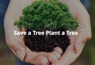Save a tree plant a tree