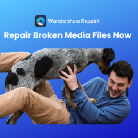 Repair Broken Media File Now