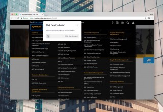 On-screen guidance for SAP