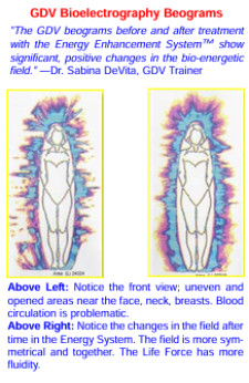 From EM Pollution to Scalar Enhancement: How Quantum Fields Are Rewriting the Rules of Human Wellness