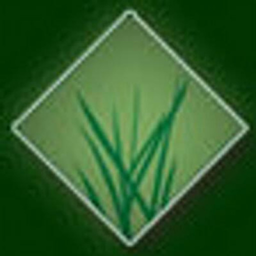 Arizona Luxury Lawns Offering Arizona Artificial Grass Alternative For High Summer Temperatures