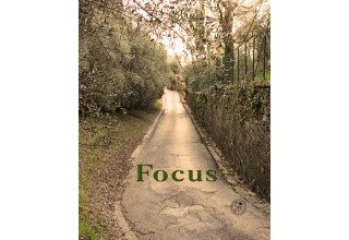 Focus Word of the Year