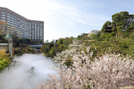 Hotel Chinzanso Tokyo - Cherry Blossoms and the Sea of Clouds