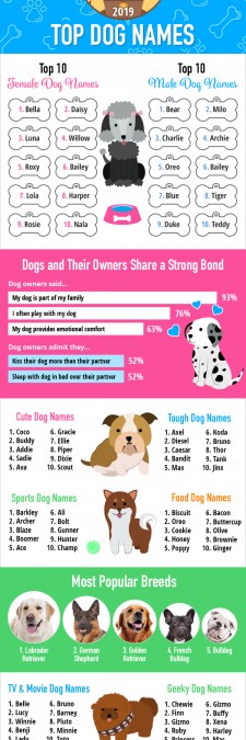 Top Dog Names of 2019