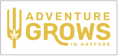 Visit Hayfork: Adventure Grows In Hayfork