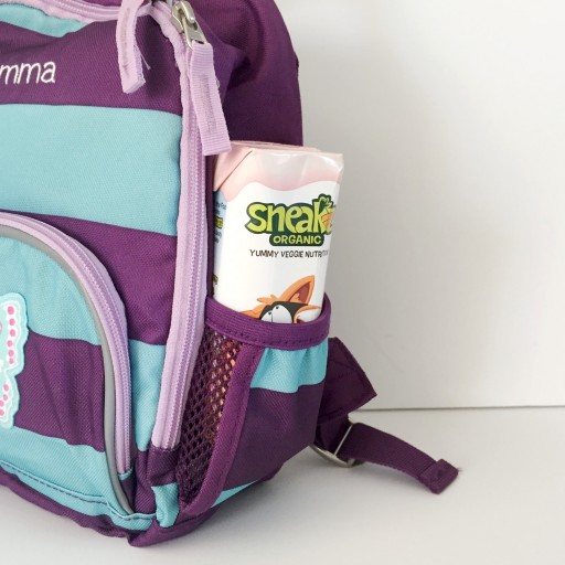 Give Your Child's Lunchbox a Healthy Makeover With Sneakz Organic