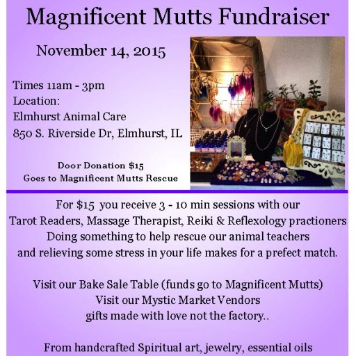 Elmhurst Animal Care Center to Host November 2015 Magnificent Mutts Fundraiser
