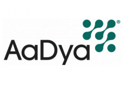 AaDya Security