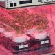 Plant Growth Chamber Developed for NASA by Tupperware and Techshot Launching on SpaceX CRS-14