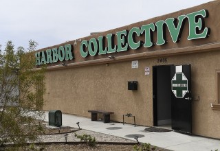 Harbor Collective Front Door