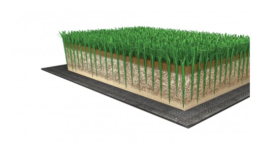 Introducing PureSelect, FieldTurf's New Natural Olive Infill