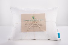 The Sustainable Pillow