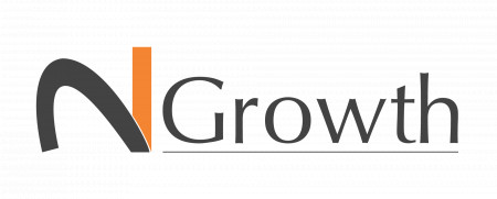Executive Search Firm - N2Growth