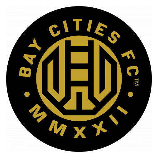 Bay Cities LLC Announces Application for Redwood City Professional Soccer Club in NISA
