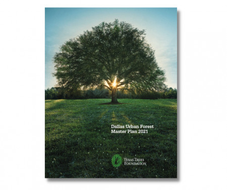 Dallas Urban Forest Master Plan 2021