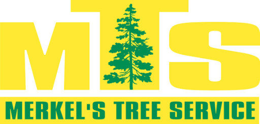 Merkel's Tree Service Celebrates Five Years of Excellence, Safety, and Reliability in Berks County