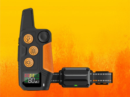 Petootsy Remote Training Collar Review 2025