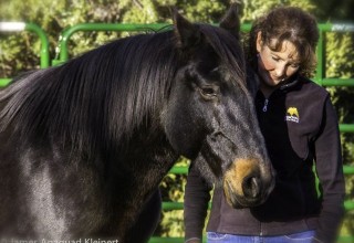 Kathy Pike - International Author and Equine Facilitated Learning Instructor