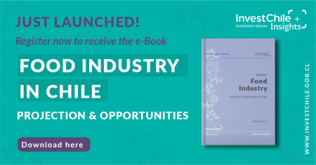 E-Book Food Industry